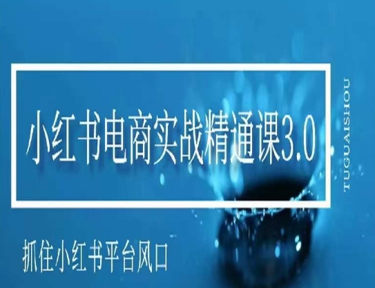 小红书电商实战精通课3.0，抓住小红书平台的风口，不错过有一个赚钱的机会-赚钱驿站
