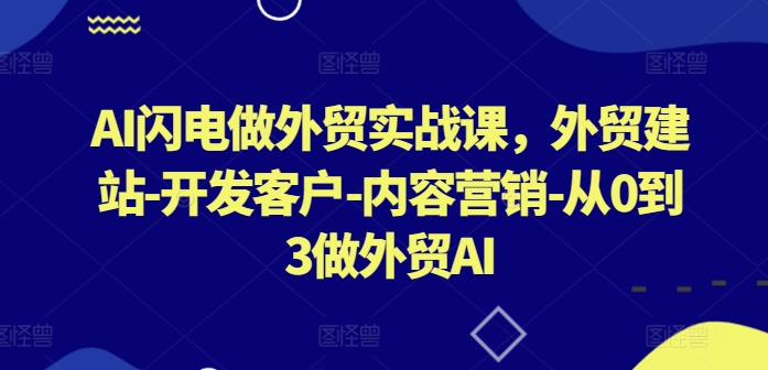 AI闪电做外贸实战课，​外贸建站-开发客户-内容营销-从0到3做外贸AI（更新）-赚钱驿站