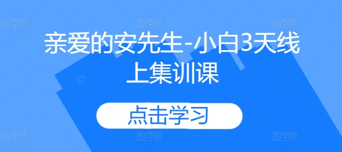 亲爱的安先生-小白3天线上集训课-赚钱驿站