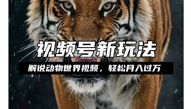 利用动物世界解说视频，赚分成计划收益，轻松月入过W，操作简单【揭秘】-赚钱驿站
