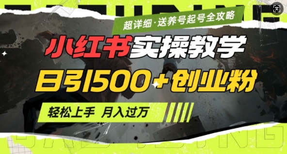 2月小红书最新日引500+创业粉实操教学【超详细】小白轻松上手，月入1W+，附小红书养号起号SOP-赚钱驿站