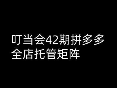 叮当会拼多多打爆班原创高阶技术第42期，拼多多全店托管矩阵-赚钱驿站