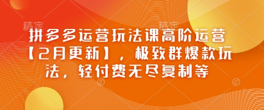 拼多多运营玩法课高阶运营【2月更新】，极致群爆款玩法，轻付费无尽复制等-赚钱驿站