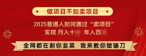 必看，做项目不如卖项目，2025普通人如何通过“卖项目”实现月入十个，年入百个-赚钱驿站