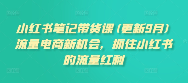 小红书笔记带货课(更新25年3月)流量电商新机会，抓住小红书的流量红利-赚钱驿站