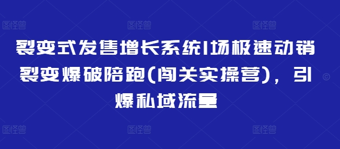 裂变式发售增长系统1场极速动销裂变爆破陪跑(闯关实操营)，引爆私域流量-赚钱驿站