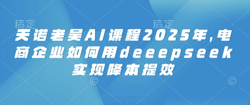 天诺老吴AI课程2025年，电商企业如何用deeepseek实现降本提效-赚钱驿站