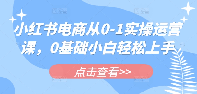 小红书电商从0-1实操运营课，0基础小白轻松上手-赚钱驿站