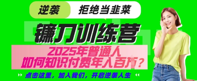 【网创项目终点站-镰刀训练营超级IP合伙人】25年普通人如何通过知识付费实现逆袭【揭秘】-赚钱驿站
