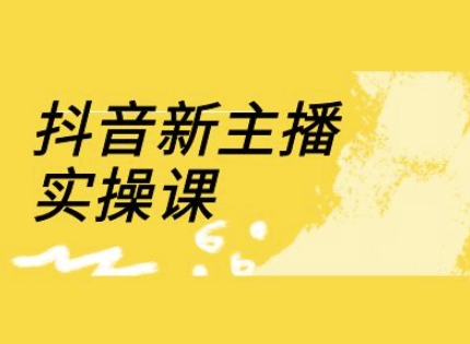 抖音新主播实操课，直播间流量运营线上实操课(18节)-赚钱驿站