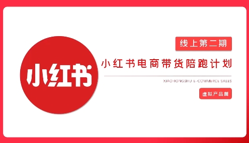 2025小红书虚拟电商实战课，从0到1打造无货源店铺，AI+爆款笔记轻松变现-赚钱驿站