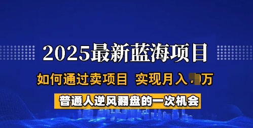 2025蓝海项目，普通人如何通过卖项目，实现月入过W，全过程【揭秘】-赚钱驿站