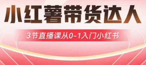 小红薯达人带货启航计划，3节直播课从0-1入门小红书-赚钱驿站