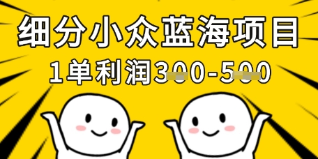 细分小众蓝海项目，一单利润3张，每月收入稳定过1w+-赚钱驿站