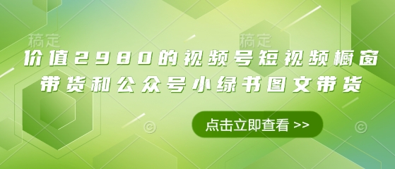 价值2980的视频号短视频橱窗带货和公众号小绿书图文带货-赚钱驿站