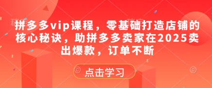 拼多多vip课程，零基础打造店铺的核心秘诀，助拼多多卖家在2025卖出爆款，订单不断-赚钱驿站
