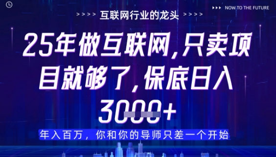 什么！25年你还在找项目做？风口早就变了，卖项目才是稳挣不赔【揭秘】-赚钱驿站