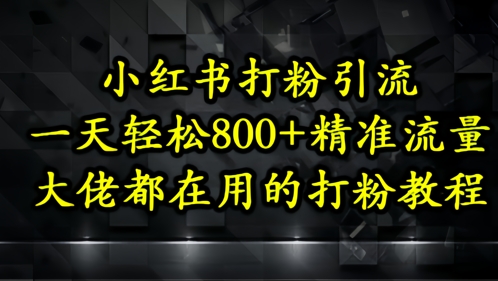 小红书打粉引流，一天轻松500+精准流量，大佬都在用的打粉教程-赚钱驿站