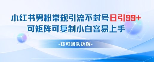 小红书男粉常规引流不封号日引99+变现简单 可矩阵可复制小白容易上手-赚钱驿站