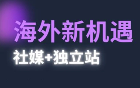 2025出海新机遇(社媒+独立站)，海外新机遇，实现独立站的高效运营与出海-赚钱驿站