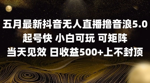 2025五月最新无人直播撸音浪单日产出5张+实操教程【揭秘】-赚钱驿站