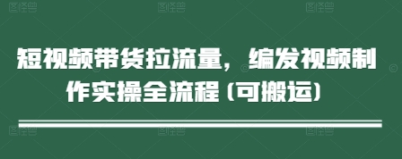 短视频带货拉流量，编发视频制作实操全流程(可搬运)-赚钱驿站