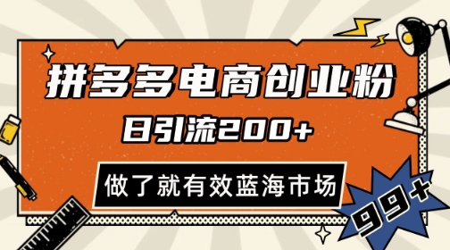 拼多多引流电商创业粉，日引200+，可矩阵放大，做了就有效【揭秘】-赚钱驿站
