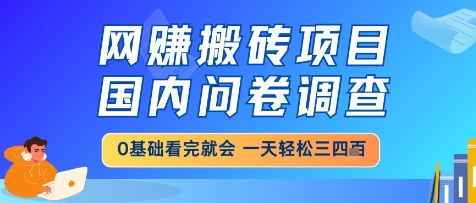 网创搬砖项目，国内问卷调查，小白轻松上手，一天三四张的也不难，干就完了【揭秘】-赚钱驿站