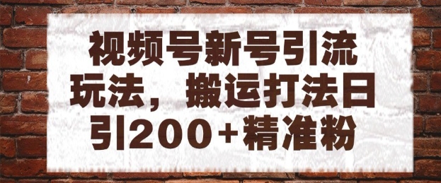 视频号新号引流玩法，搬运打法日引200+精准粉，可矩阵放大【揭秘】-赚钱驿站