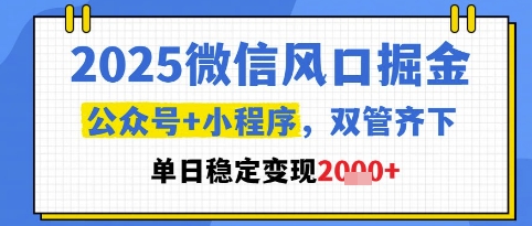 2025微信风口掘金，公众号+小程序双管齐下，单日稳定变现1k+【揭秘】-赚钱驿站