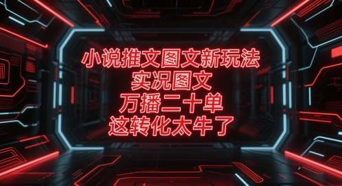 小说推文图文新玩法，实况图文，万播二十单，这转化太牛了！-赚钱驿站