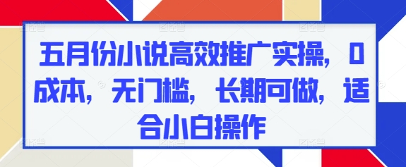 五月份小说高效推广实操，0成本，无门槛，长期可做，适合小白操作-赚钱驿站