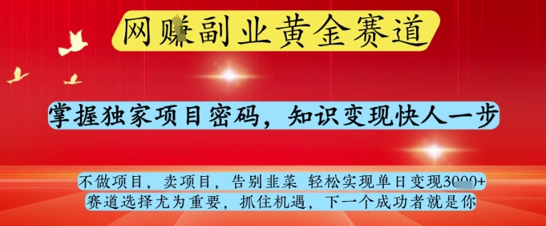 网创副业黄全赛道，掌握独家项目密码，知识变现快人一步，告别韭菜轻松实现单日变现1k+【揭秘】-赚钱驿站