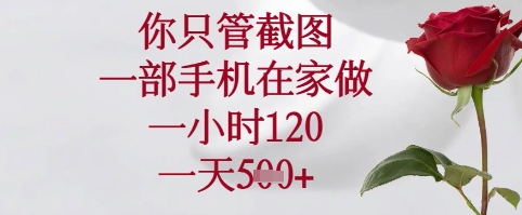 你只管截图，一部手机在家可以做，一小时120.一天5张+【揭秘】-赚钱驿站