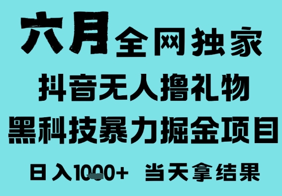 25年6月高爆抖音无人直播最新撸音浪掘金项目，门槛低小白可做，无脑日入1k，可矩阵放大【揭秘】-赚钱驿站