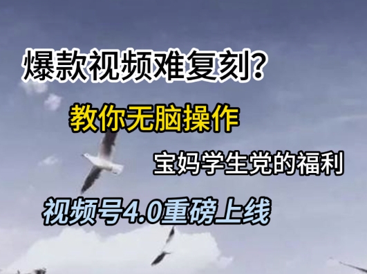 视频号4.0重磅上线，爆款视频难复刻？教你无脑操作宝妈学生党的福利【揭秘】-赚钱驿站
