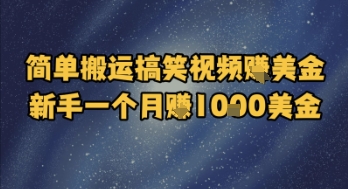 简单搬运搞笑视频挣美金，新手一个月入1k美金-赚钱驿站