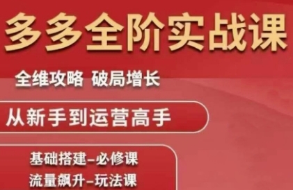 拼多多全阶实战课程，全维攻略，破局增长，从新手到运营高手-赚钱驿站