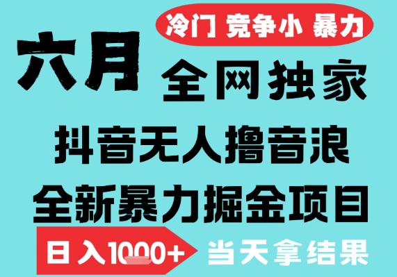 2025年6月高爆抖音无人直播最新撸音浪掘金项目，无脑日入1k+，低门槛小白可做，可矩阵放大【揭秘】-赚钱驿站
