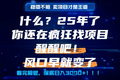 什么？25年你还在疯狂找项目做，醒醒吧，看完这些你全都懂了！【揭秘】-赚钱驿站