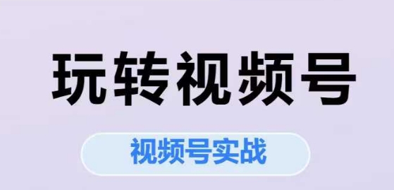 玩转视频号，视频号实战系列课-赚钱驿站