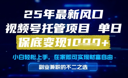 25年最新风口，视频号托管项目，单日保底变现1k+，手把手教学【揭秘】-赚钱驿站