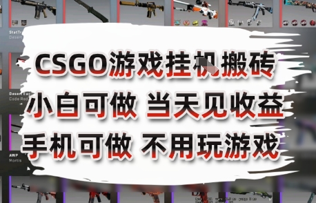 CSGO游戏挂G搬砖，小白纯手机即可操作，不用电脑打游戏，日入3张+，副业网创项目【揭秘】-赚钱驿站