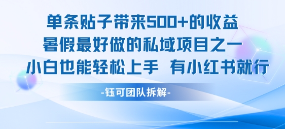 单条贴子带来5张的收益，暑假最好做的私域项目之一，小白也能轻松上手，有小红书就行-赚钱驿站