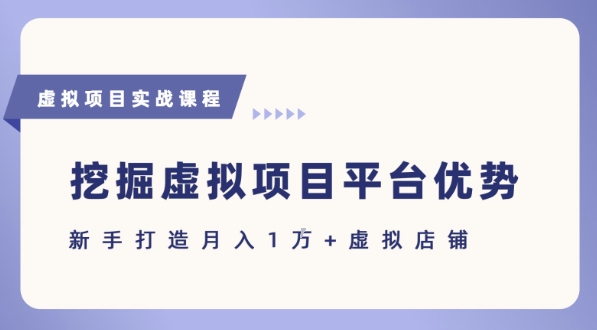 抓住虚拟项目各平台优势，新手轻松月入1W+(给出具体建议)-赚钱驿站