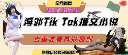 海外tiktok小说推文暴力项目，高停留率，高转化率，上手后一天搞顿饭钱不是问题-赚钱驿站
