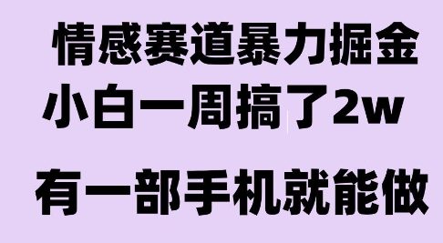 情感暴力掘金项目，新人操作一周挣了2W，长期稳定小白可做【揭秘】-赚钱驿站