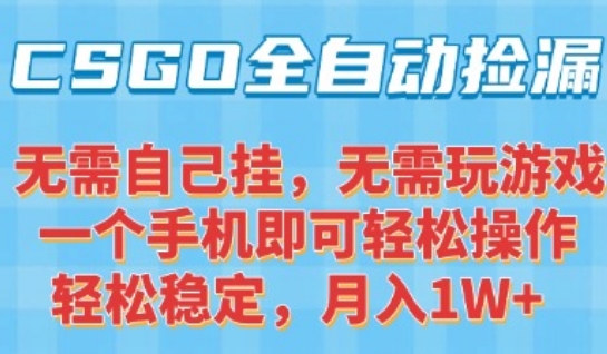 CSGO自动捡漏项目，最新独家玩法，一个手机可操作，新手小白轻松月入1W+，操作简单易上手【揭秘】-赚钱驿站