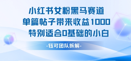 小红书女粉黑马赛道单篇帖子带来收益1k+，特别适合0基础的小白-赚钱驿站