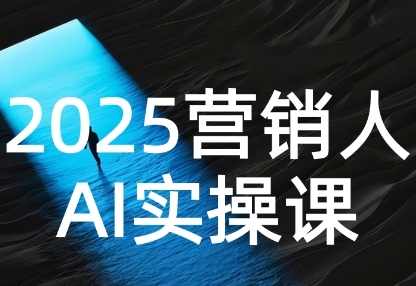 2025营销人Al实操课，AI营销抢跑实战，从Prompt到方案，效率碾压同行-赚钱驿站